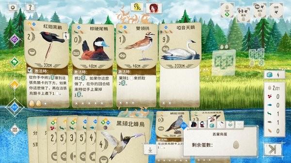 展翅翱翔桌游wingspan