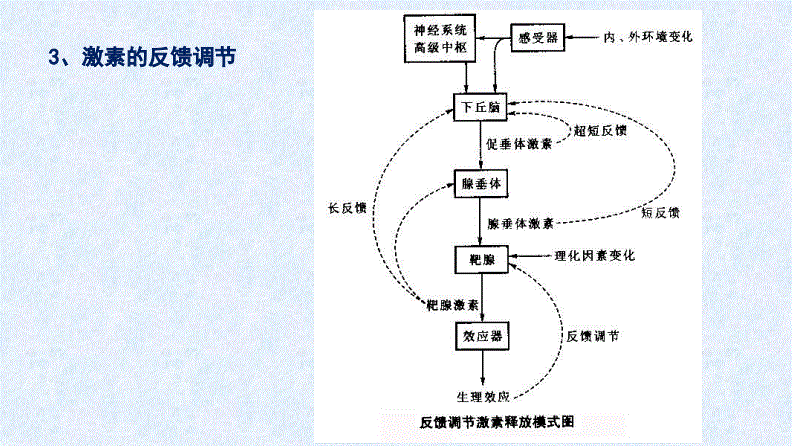 第九章 人体内分泌与生殖 第二节 人体几种激素及其功能.pdf 32页