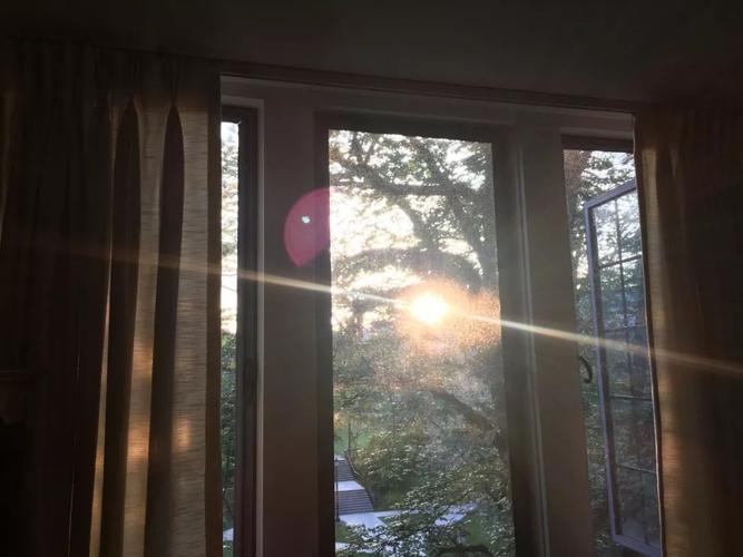 离开的清晨,阳光透过树叶照进宿舍窗户,突然被治愈了