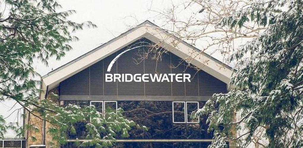 桥水基金,高瓴资本都在买什么?