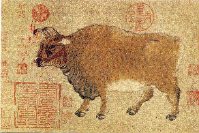 古画鉴赏: 唐 韩滉《五牛图卷》