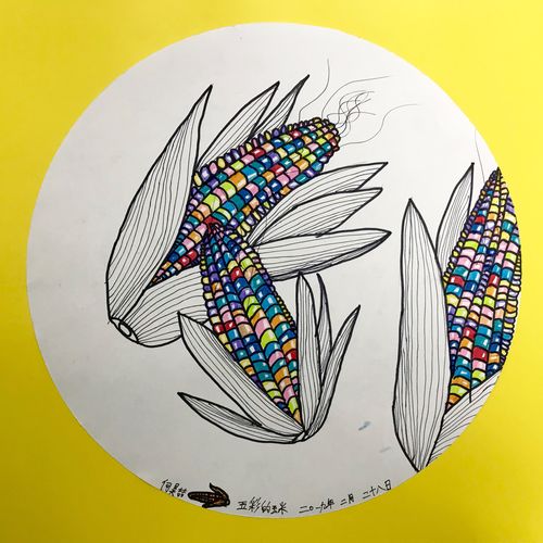 大师创意——【五彩玉米】