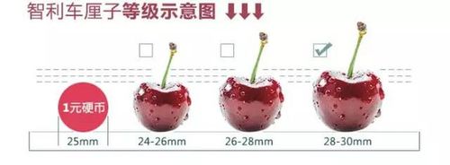 「?节前不涨反跌」智利双j车厘子100元/3斤,这次真的搞大了!