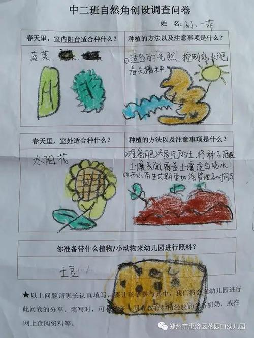 每班教师结合自己班级的实际情况与幼儿兴趣制定班级种植计划