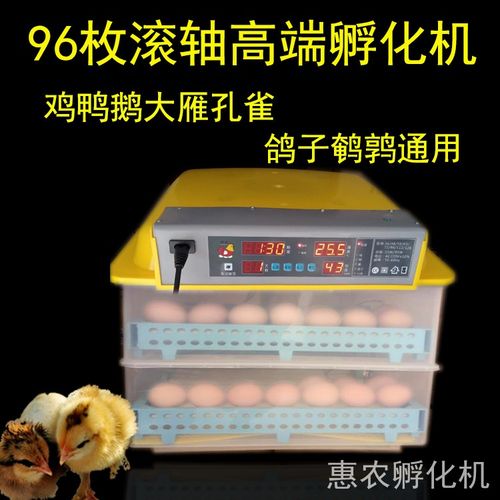 2021款智能双电孵化器自动产小鸡恒温孵化箱德州全自动孵化箱小型