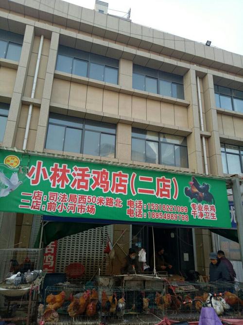 "小林活鸡店"的所有分店