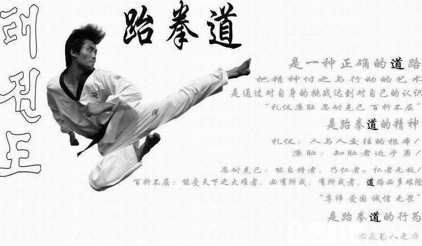 多不胜数· /p> p>历年来,正贤抱着推广,普及跆拳道运动的宗旨,几年来
