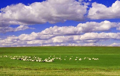 希拉穆仁草原,库布其 去溜溜旅行网 中国第一特色旅游网