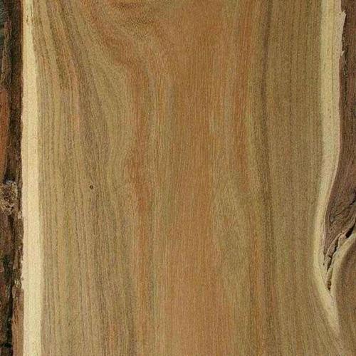 洋槐木硬度和红木差不多,花纹美观,为什么不适宜制