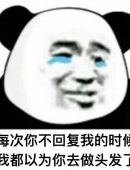 听说你去做头发了搞笑聊天表情包图片