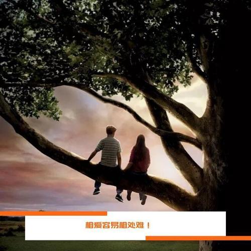相爱容易相处难!油盐酱醋渗透到爱情中,现实和理想就背道而驰!