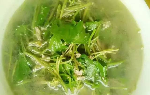 雷公根汤