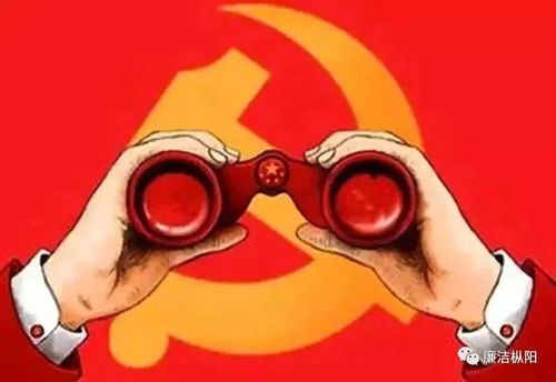 2019年纪检监察工作亮点