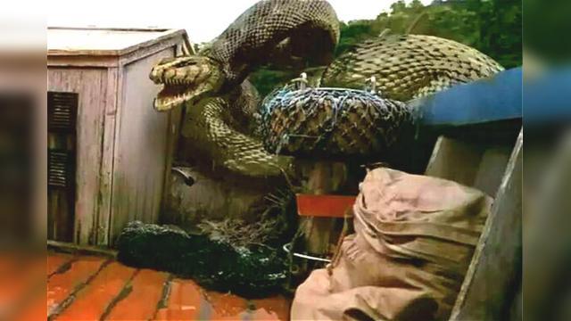 一部人蛇大战的恐怖片,巨蟒活吞生人,看完三天不舒服