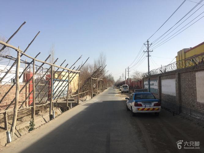 科克铁热克乡科村脚印-17_脚印_皮山县_六只脚
