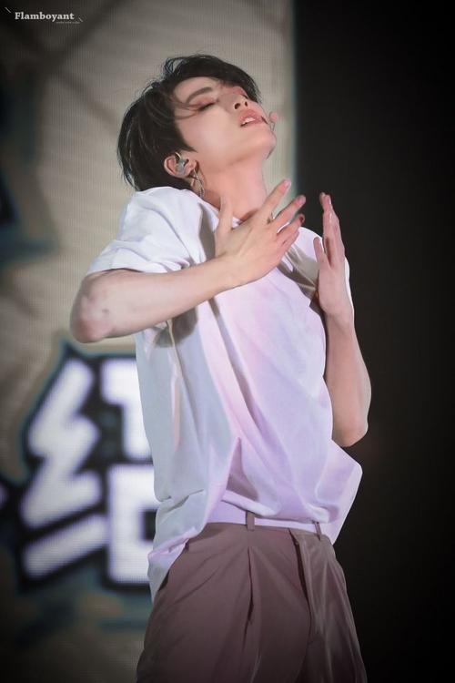 austin-朱正廷/猪猪廷