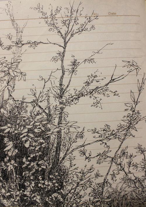 风景速写之岚皋