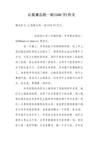 让我难忘的一刻(500字)作文.doc