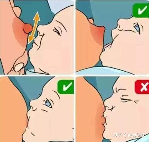 看含乳姿势对不对,正确的喂奶方式是:用手托住rf,等宝宝张大嘴巴了,再