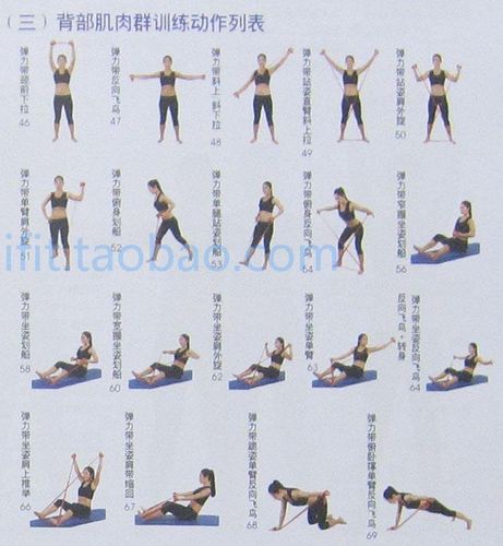 内容包含有乳胶扩胸器拉力器瑜伽拉力绳健身器材弹力绳臂力器 字,种