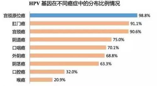 宫颈癌筛查:tct检查和hpv检查的区别