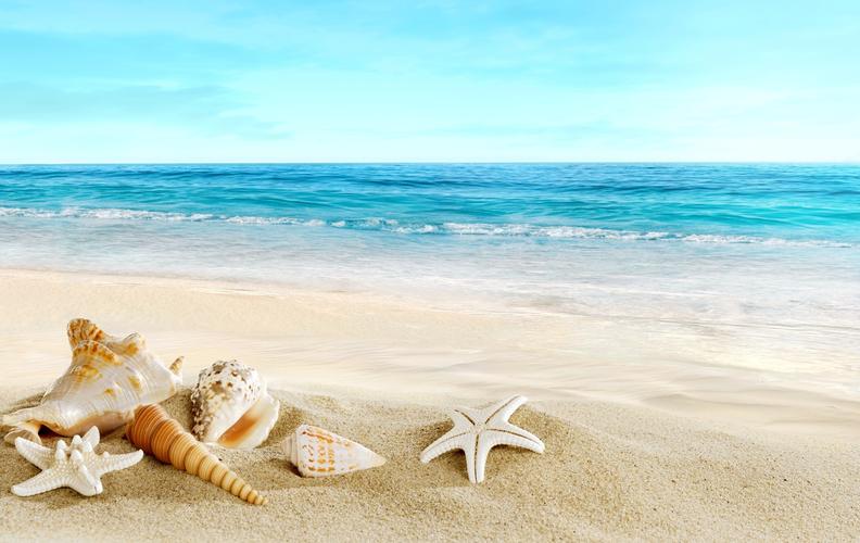 海滩,夏天,贝壳,美丽,海洋,沙子,photoshop,休息,天堂,海滩,夏天,贝壳