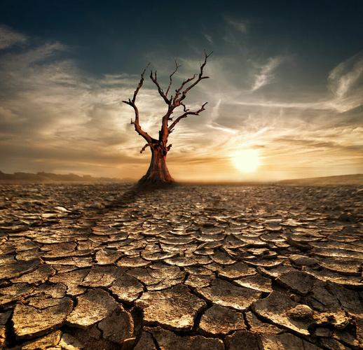 我看到一片被炙烤的土地 山岭贫瘠 枝枯叶泣 衰草萎靡 河床干裂水无