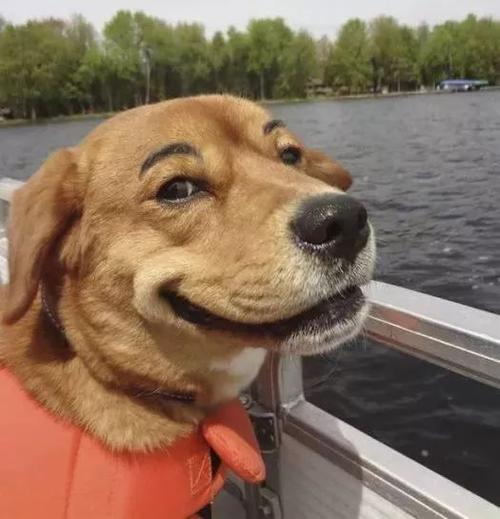 最好免了吧铁路部门规定,道具枪,仿真枪,发令枪,钢珠枪,等其他枪,包括