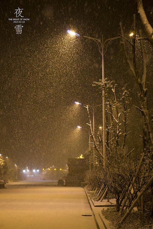 寒夜孤灯茶代酒, 沉香袅袅茗香萦. 茶要互品回味久