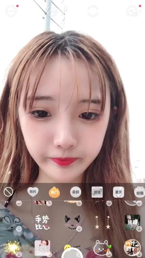 抖音套路璐数据-粉丝数,联系方式 - toobigdata