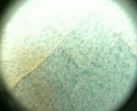 北宋汝窑天青釉盘微观放大60倍,有排列遵循气泡,釉上看到分布均匀的