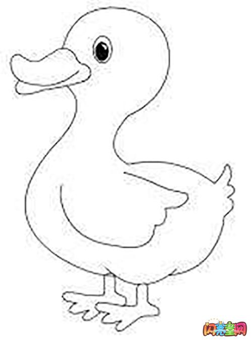 鸭子简笔画3