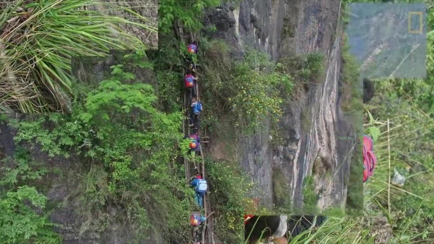 泪流满面,山区里的孩子,为了上学天天爬峭壁