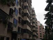 满五年 南北向 三室一厅 简单装修 火车站,银苑花园二手房,768万,3室1