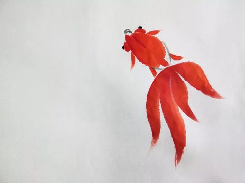 国画教程 | 写意金鱼的画法