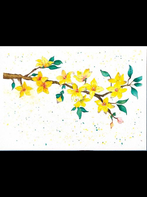 水彩,迎春花,线稿_水彩_文化_绘画