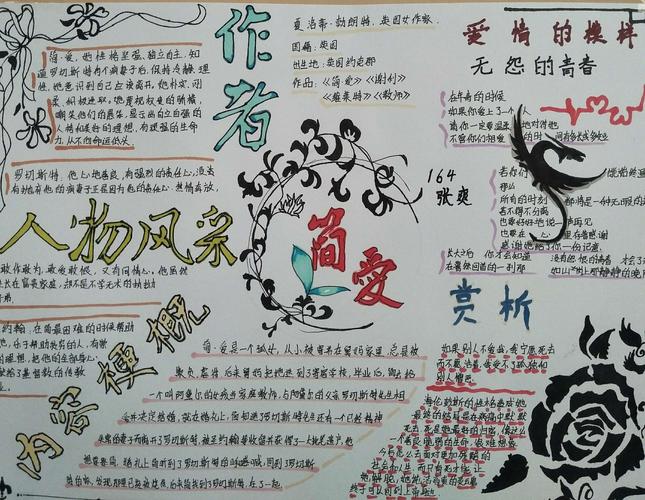智美留痕――县直初中164班《简爱》优秀手抄报汇集