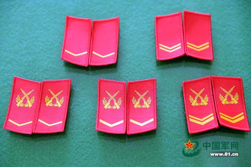 图上排分别为:武警列兵,上等兵领章;下排分别为:武警下士,中士,上士