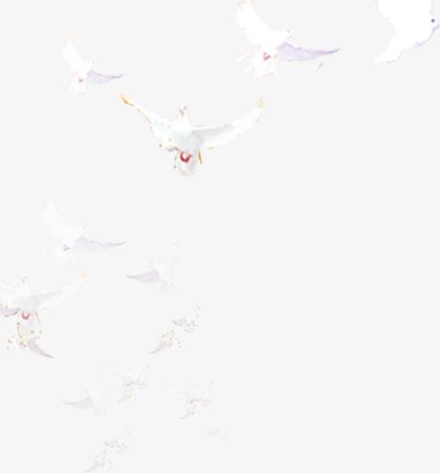 手绘白鸽欢度国庆