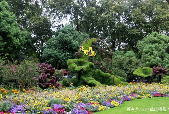这组以荷花为主题的"花好月圆"大型立体花坛,就在杭州西湖苏堤跨虹桥