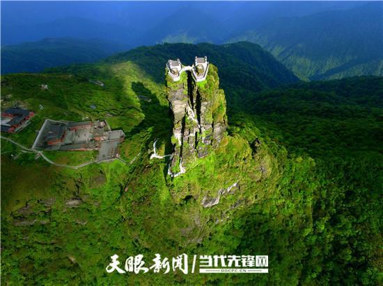 「天眼头条·在线访谈」2019年,贵州全省森林覆盖率将
