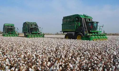 从外企抵制新疆棉花事件看出外企究竟有什么企图和野心