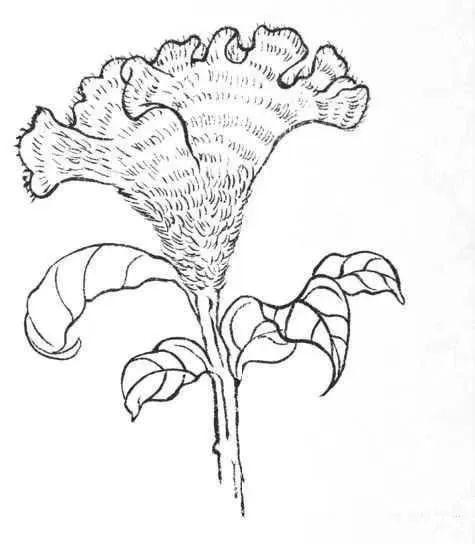 国画教程各类叶子的画法适合收藏练习