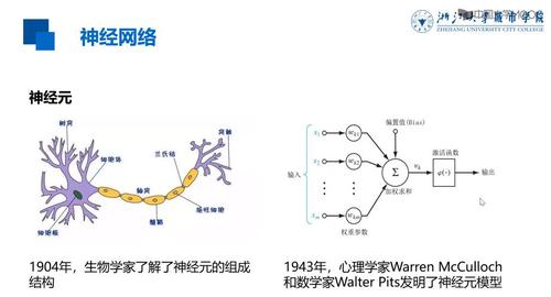 神经元是神经网络的基本单元  神经元是神经网络的基本单元  神经元