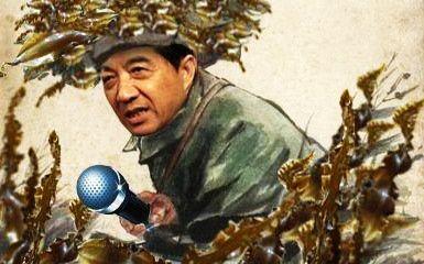 战忽局是什么