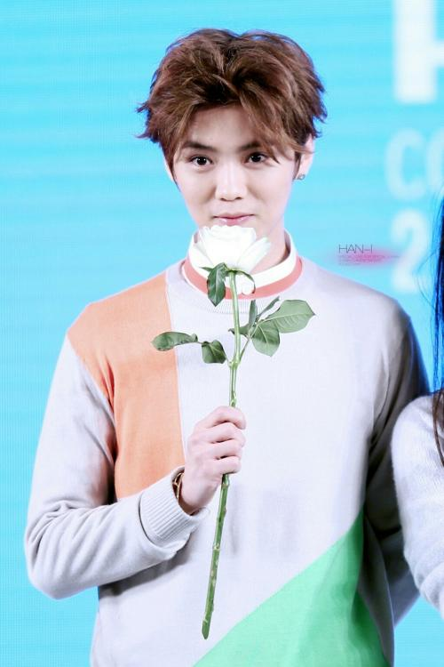 鹿晗多大了?他是哪一年出道的?