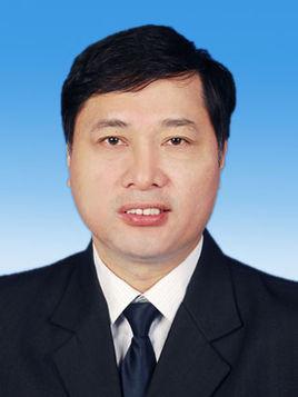 程金林(安徽省铜陵市政协副主席)
