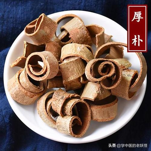 每日一中药——厚朴