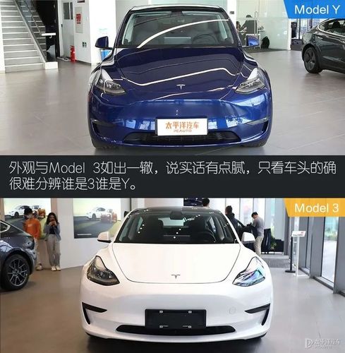 上市10小时狂卖300亿?特斯拉这车到底强在哪?到店实拍model y