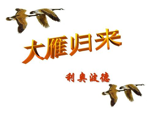 大雁归来ppt